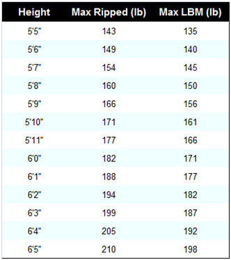 Average Bicep Size Chart