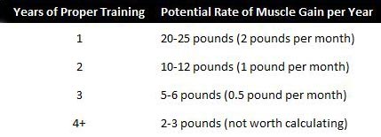 Muscle Mass Chart