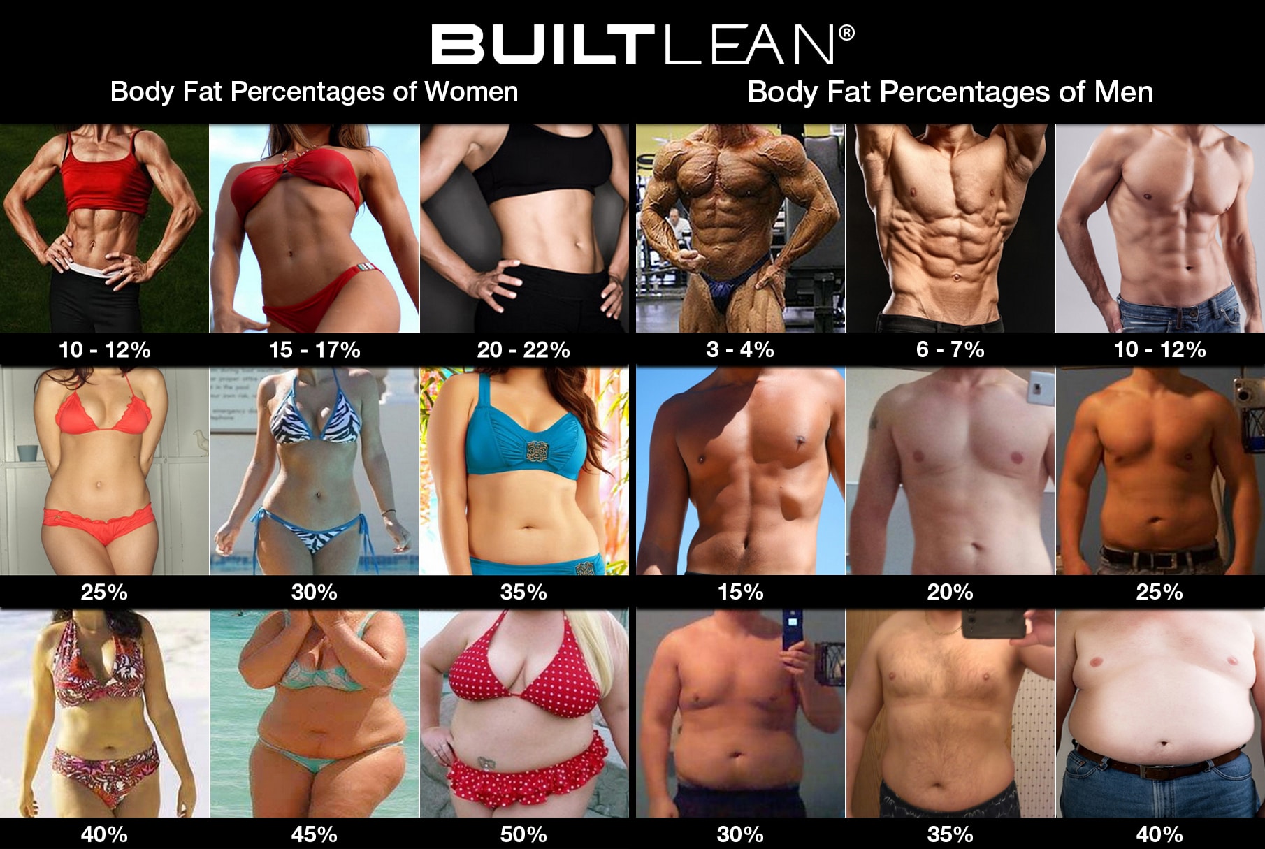 [Image: body-fat-percentage-picture-men-women.jpg]