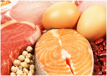 How will high protein foods help with weight loss?