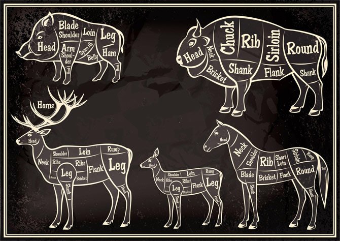 Elk Meat Cutting Chart