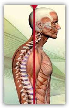 posture problems 6