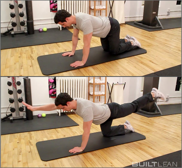 bird dog exercise basic