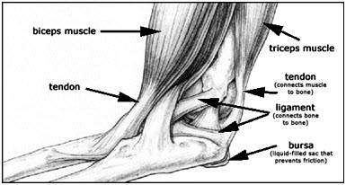 5 Tips To Manage Elbow Pain From Weight Lifting - BuiltLean