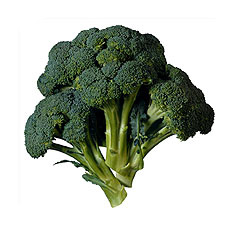 Antinutrients