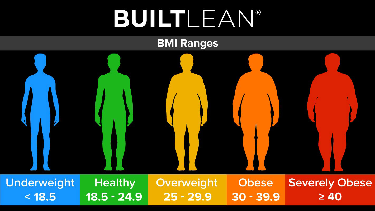 Average Bmi Chart