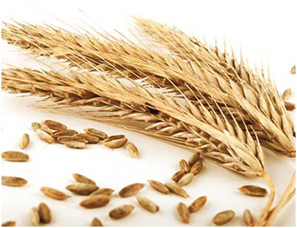 whole-grains