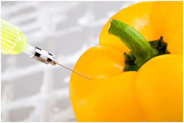 Genetically-modified-foods