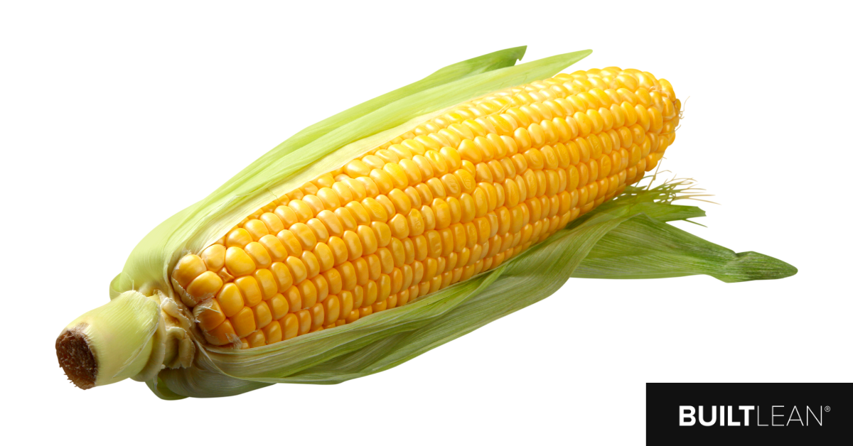 gmo corn