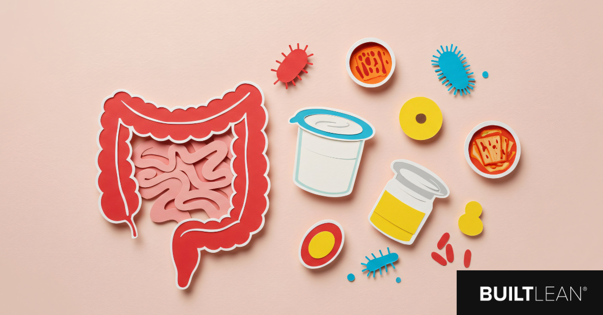 digestive system