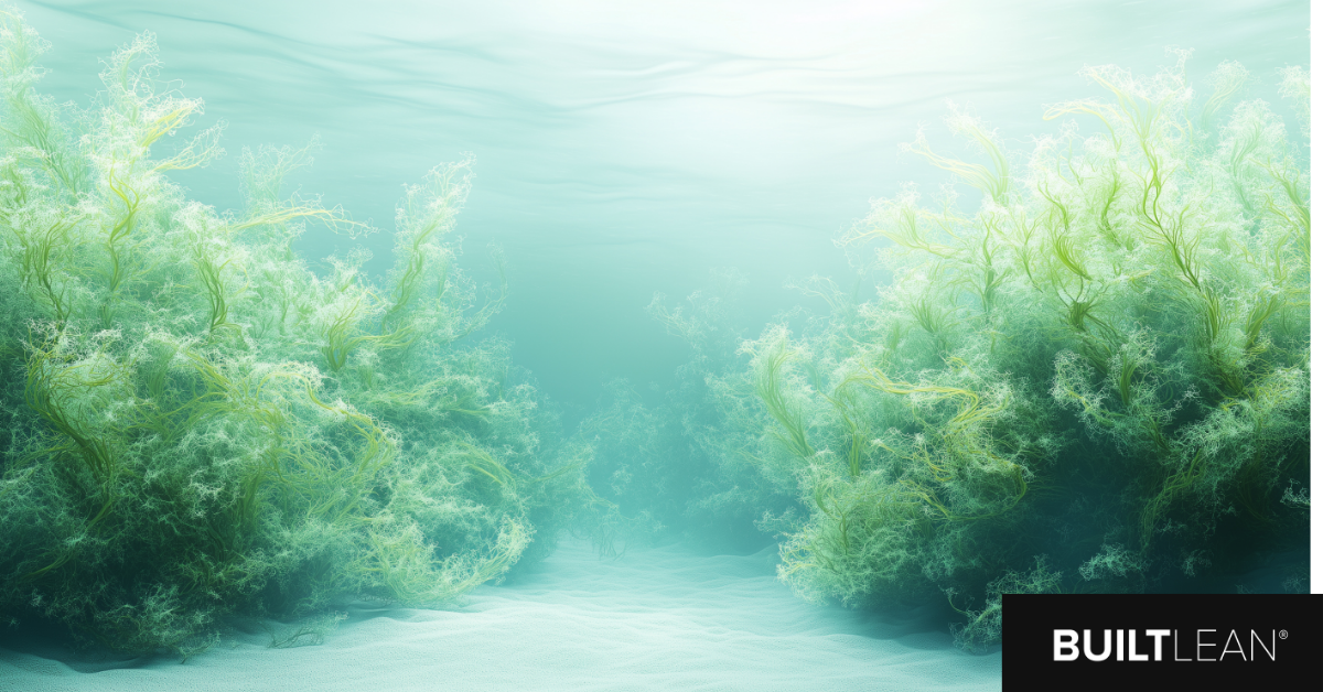 algae