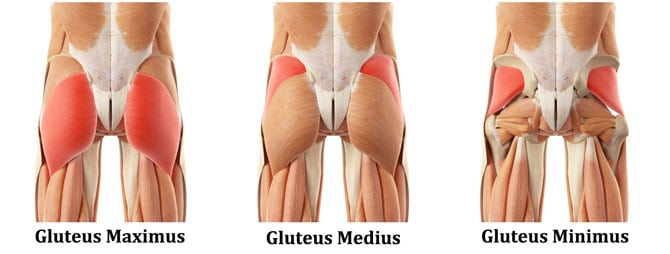 Glutes to the Max