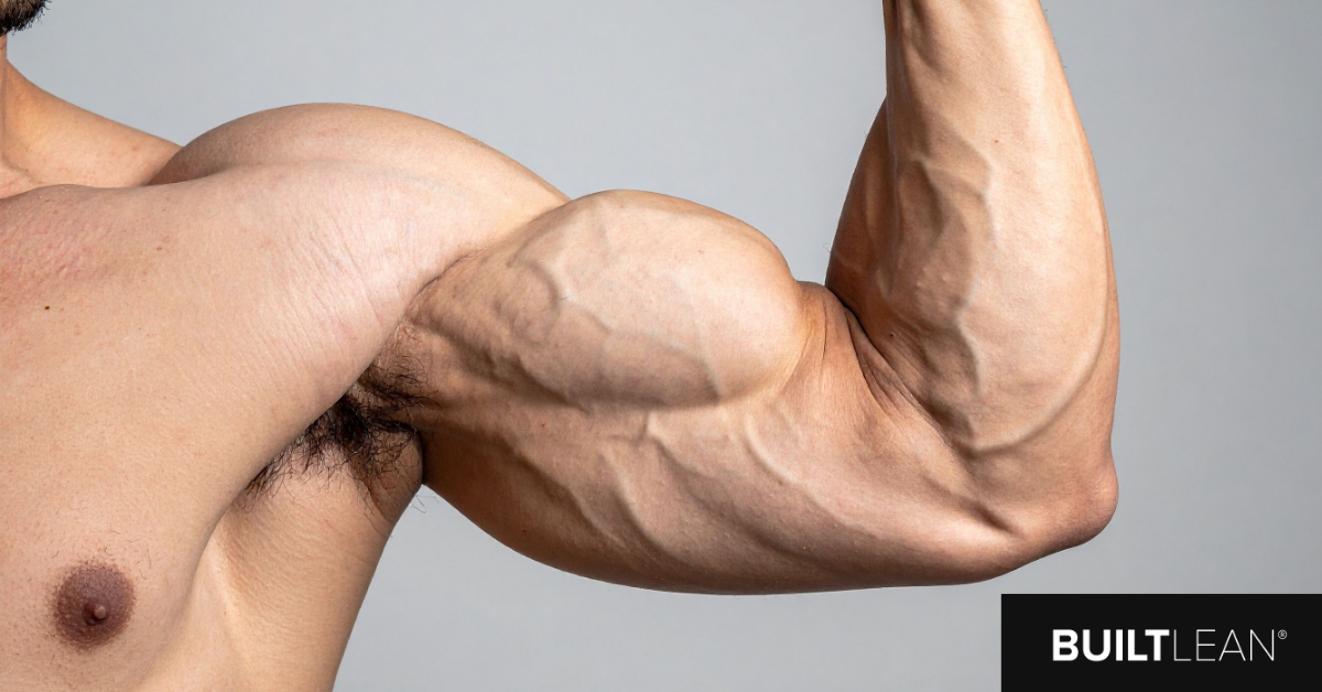 7 Best Exercises to Treat Prevent Biceps Tendinitis