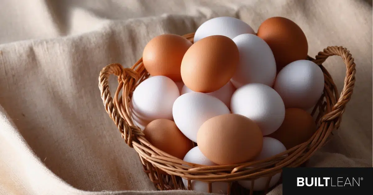 eggs
